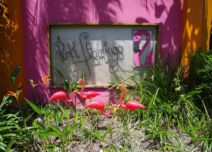 Pink Flamingo Resort Port Douglas