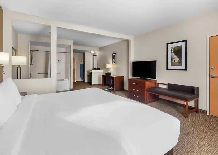 Comfort Suites Goodlettsville Rivergate